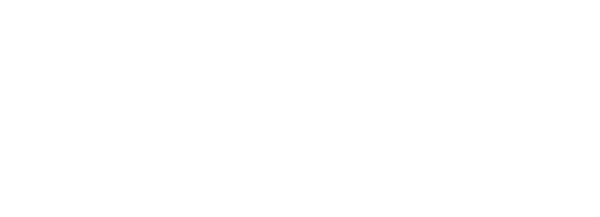 株式会社NALU